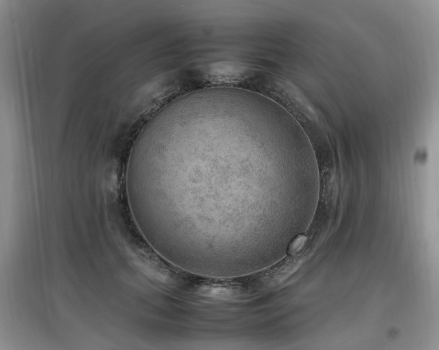 X0000097880655200803141321