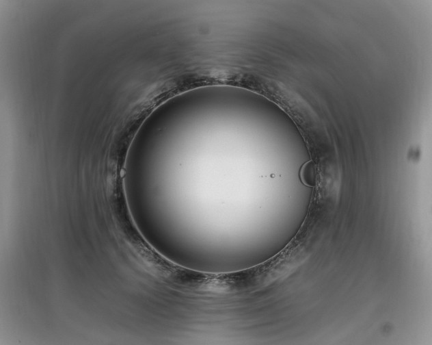 X0000097880656200803141321