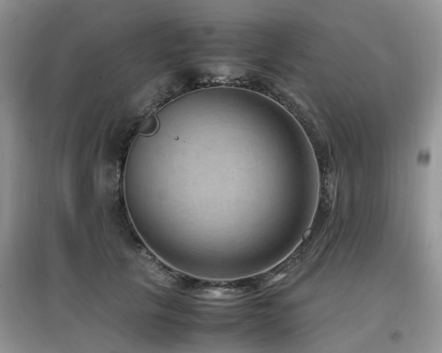 X0000097880657200803141321