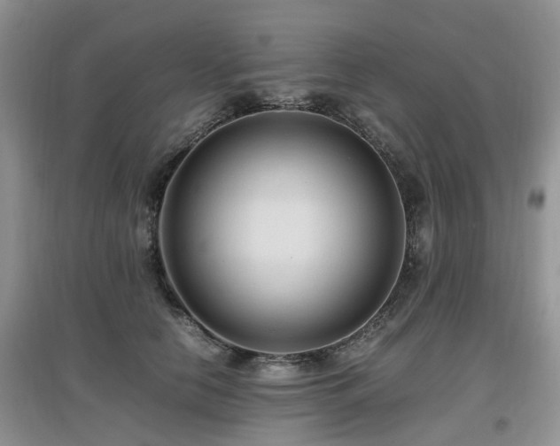 X0000097880658200803141321