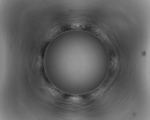 X0000097880659200803141321