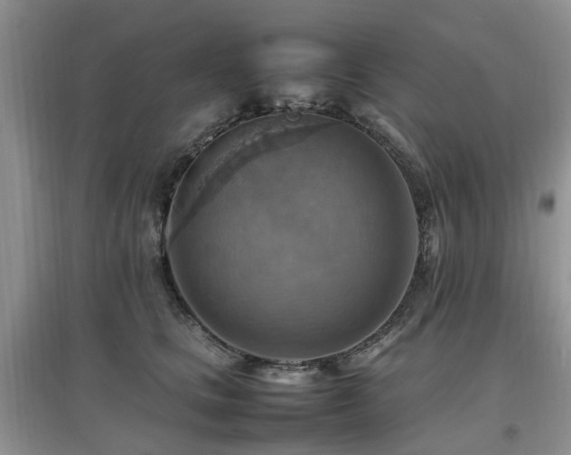 X0000097880661200803141321