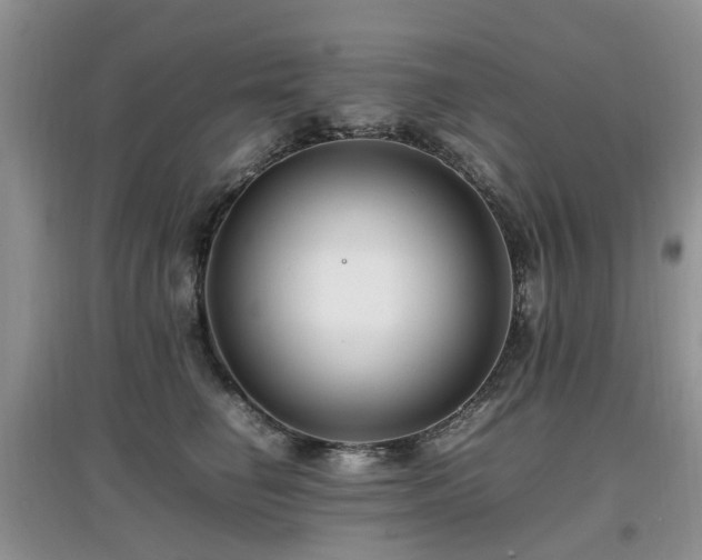 X0000097880662200803141321
