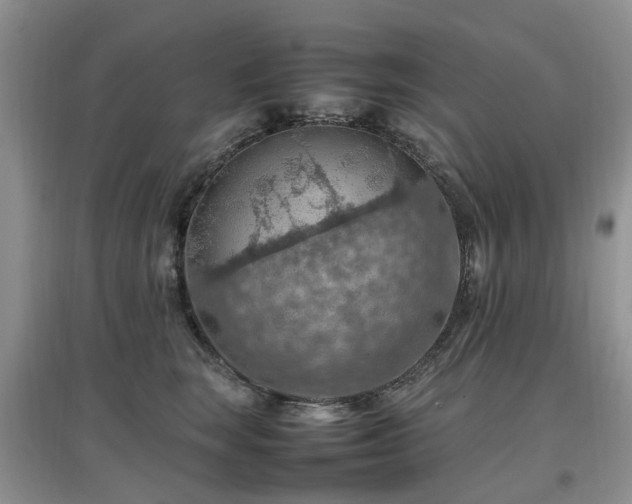 X0000097880663200803141321