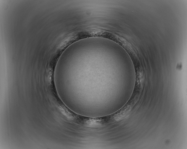 X0000097880664200803141321