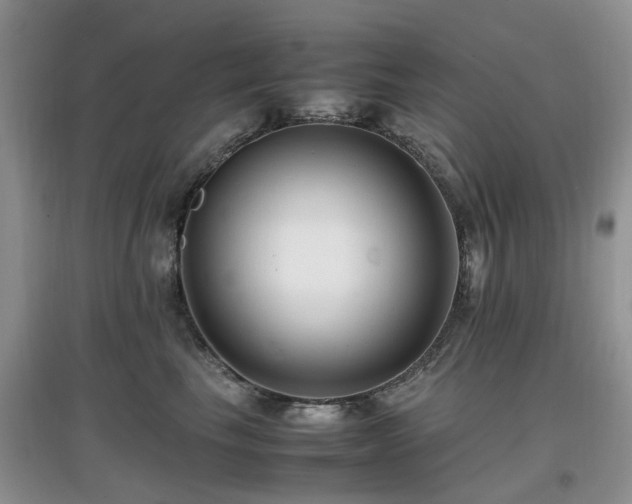 X0000097880665200803141321