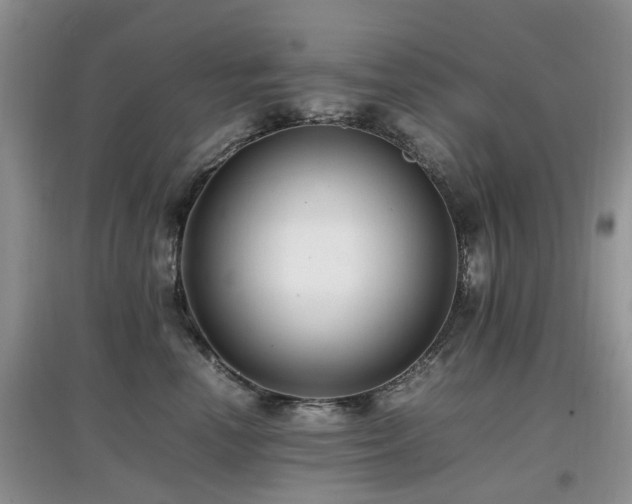X0000097880666200803141321