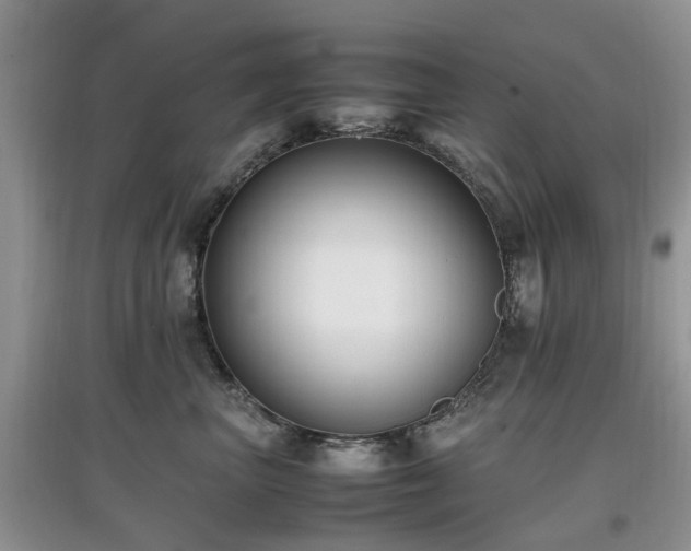 X0000097880667200803141321