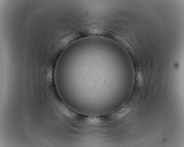 X0000097880668200803141321