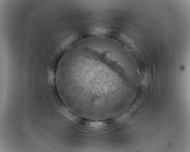 X0000097880669200803141321