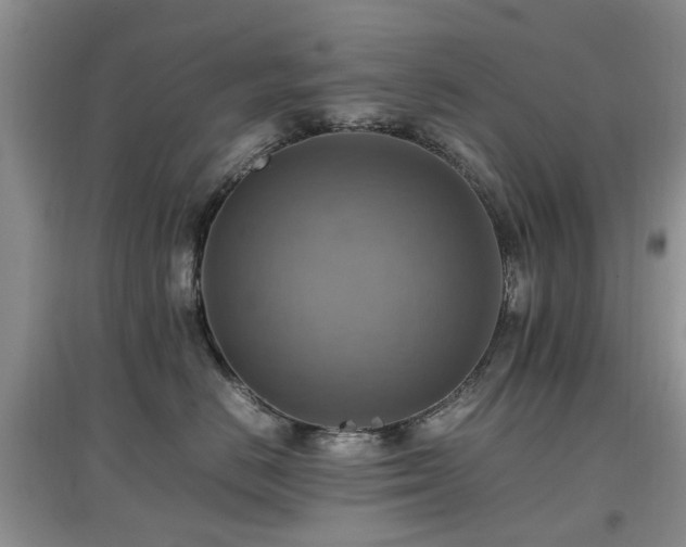 X0000097880670200803141321