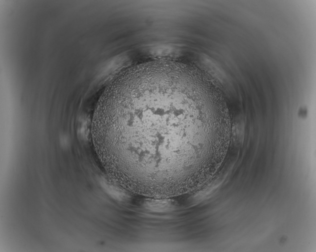 X0000097880671200803141321