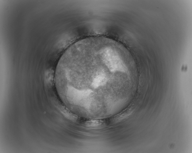 X0000097880672200803141321