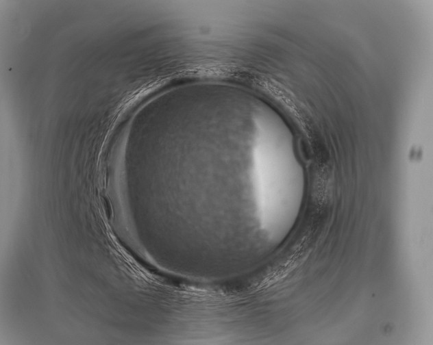 X0000097880673200803141320