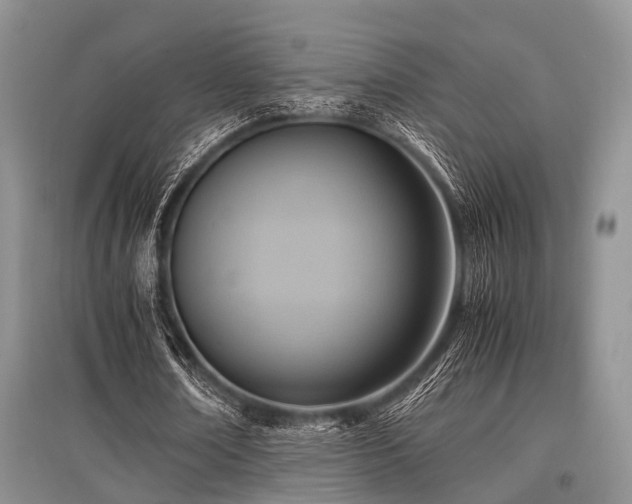 X0000097880674200803141320