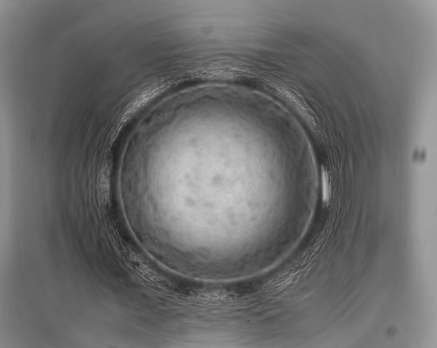 X0000097880675200803141320