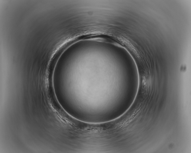X0000097880676200803141320