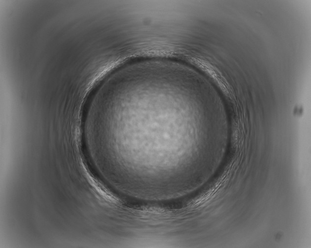 X0000097880677200803141320