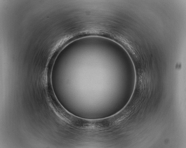 X0000097880678200803141320