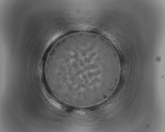 X0000097880679200803141320
