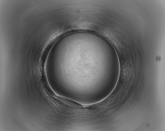X0000097880680200803141320