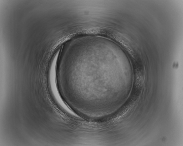 X0000097880681200803141320