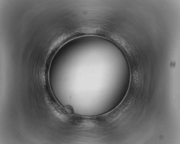 X0000097880682200803141320