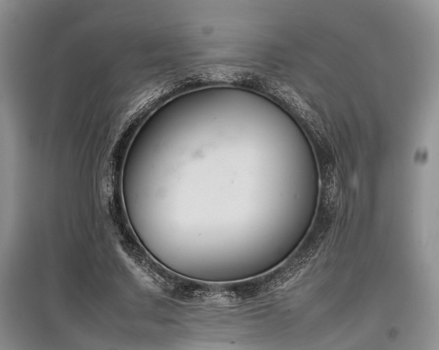 X0000097880683200803141320