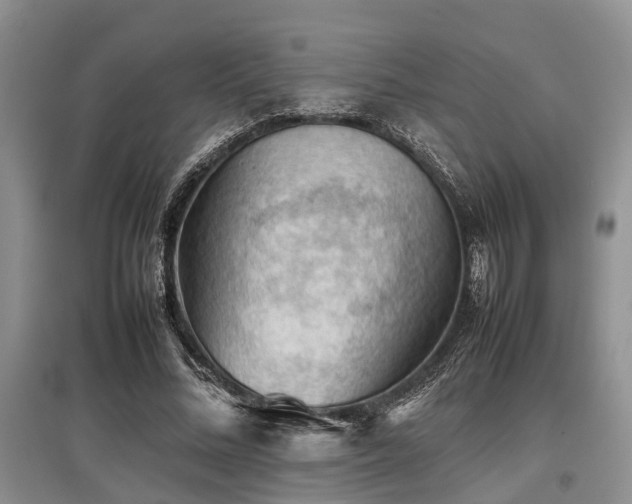 X0000097880684200803141320