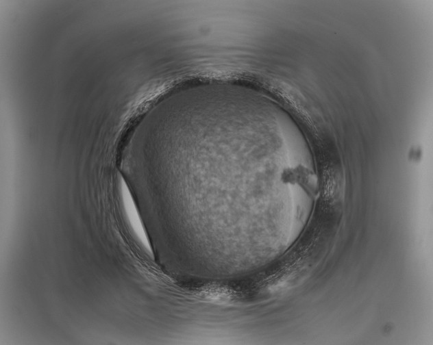 X0000097880685200803141320