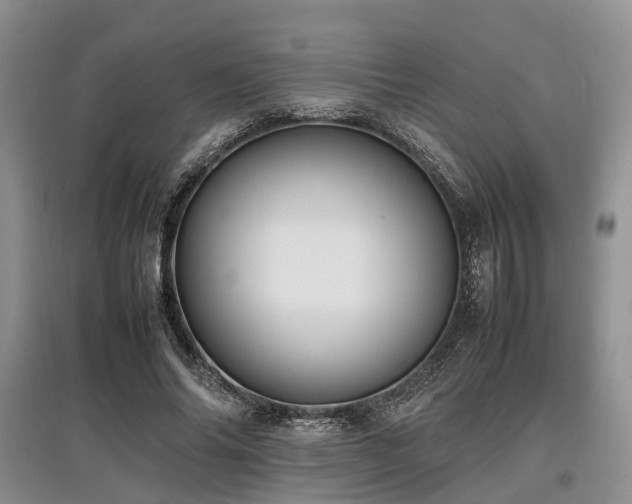 X0000097880686200803141320