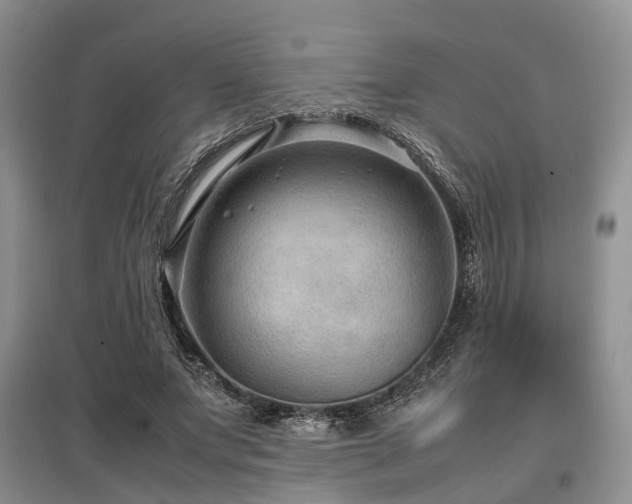 X0000097880687200803141320