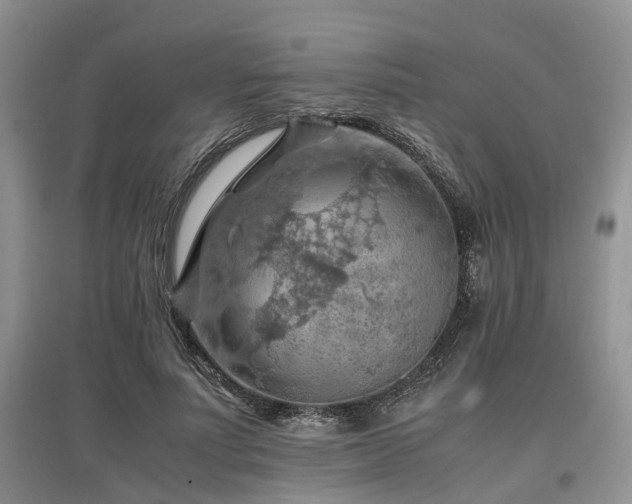 X0000097880691200803141320