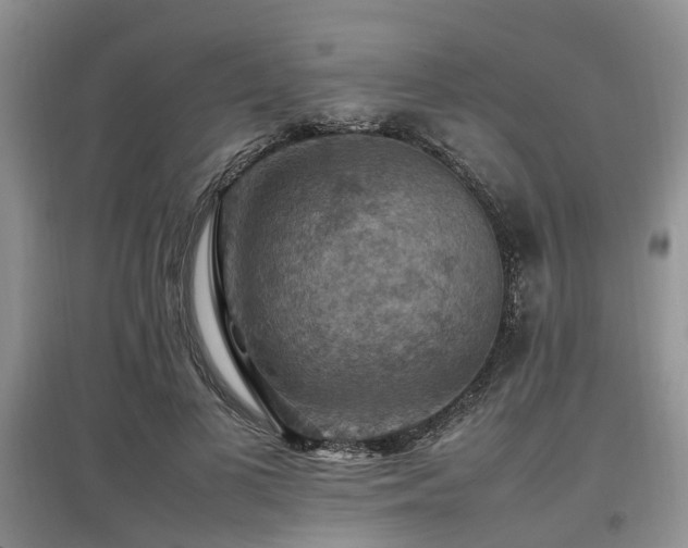 X0000097880693200803141320