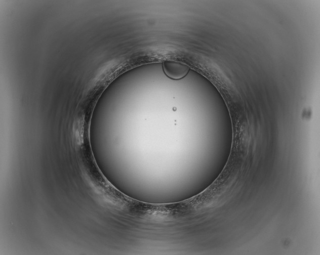 X0000097880694200803141320