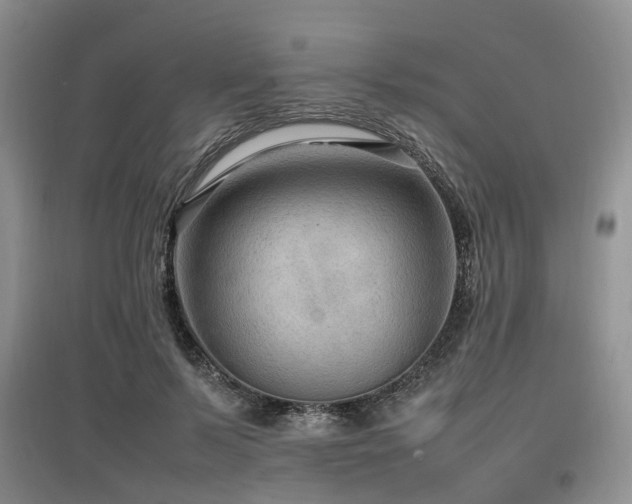X0000097880695200803141320