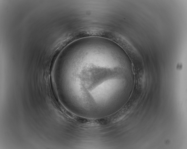 X0000097880696200803141320