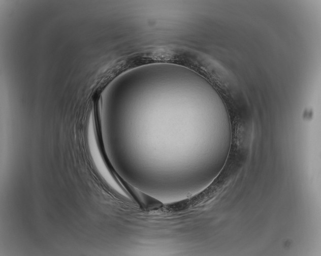 X0000097880697200803141320