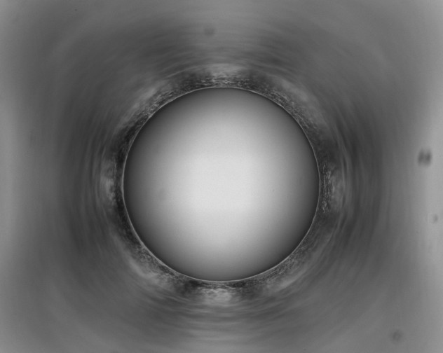 X0000097880698200803141320