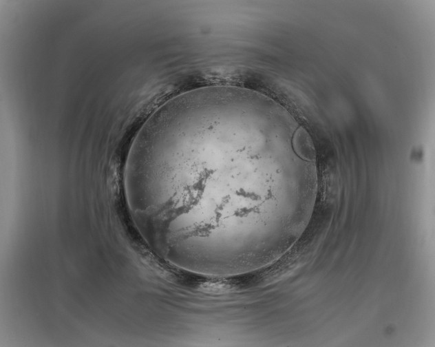 X0000097880699200803141320