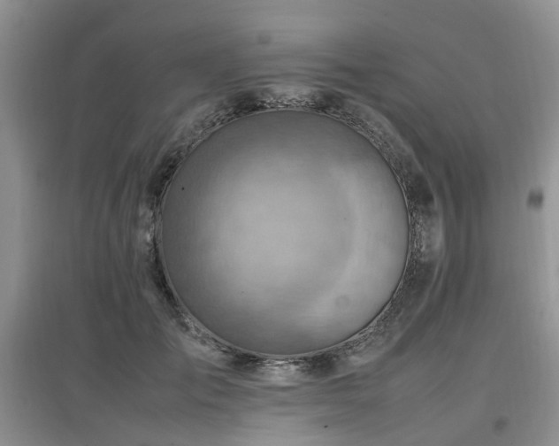 X0000097880701200803141320