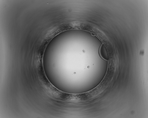 X0000097880702200803141320
