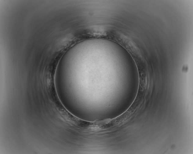 X0000097880704200803141320