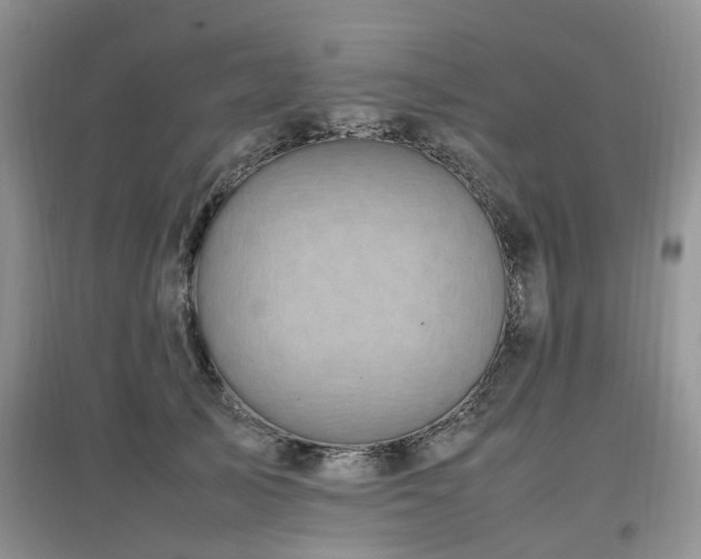 X0000097880705200803141320