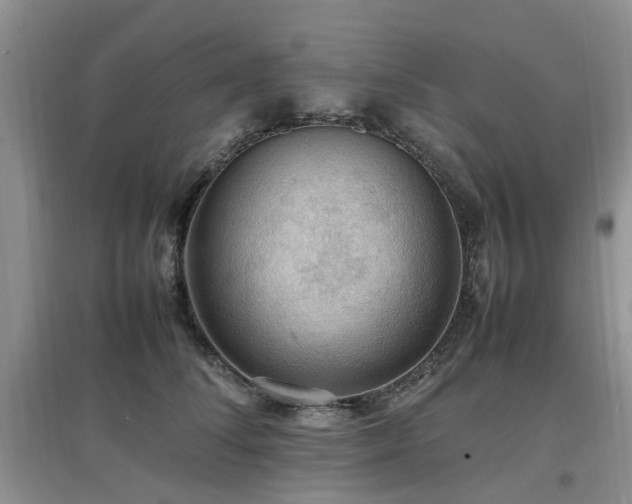 X0000097880708200803141320