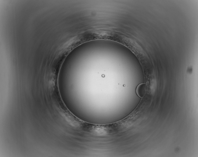X0000097880710200803141320