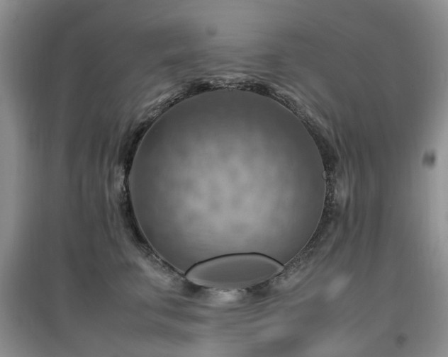 X0000097880711200803141320