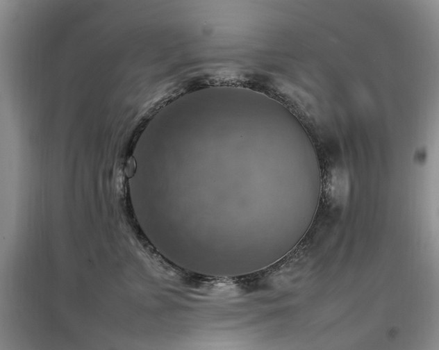 X0000097880715200803141320