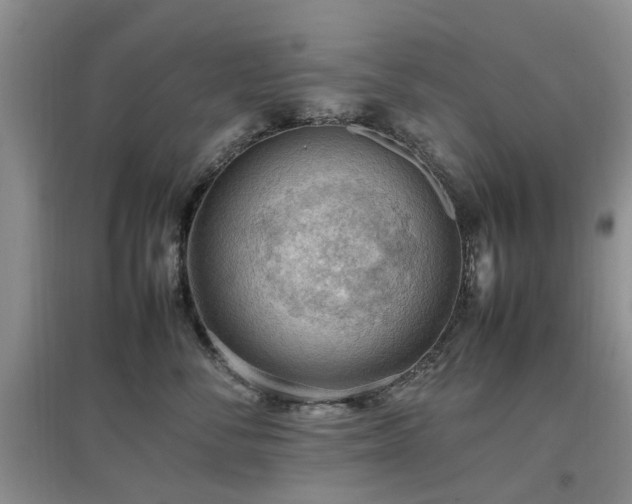 X0000097880716200803141320