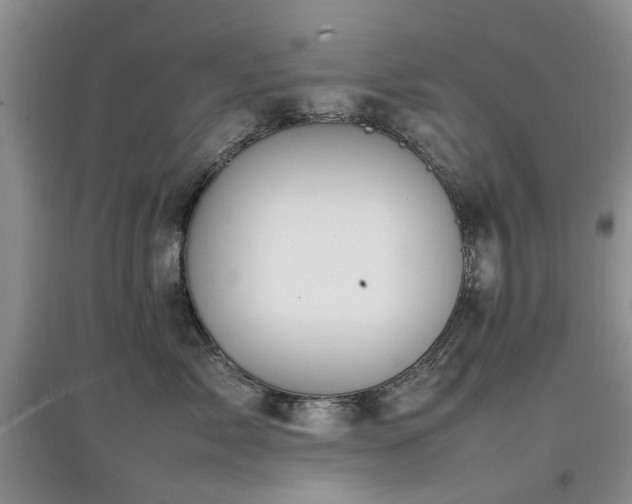 X0000097880717200803141320